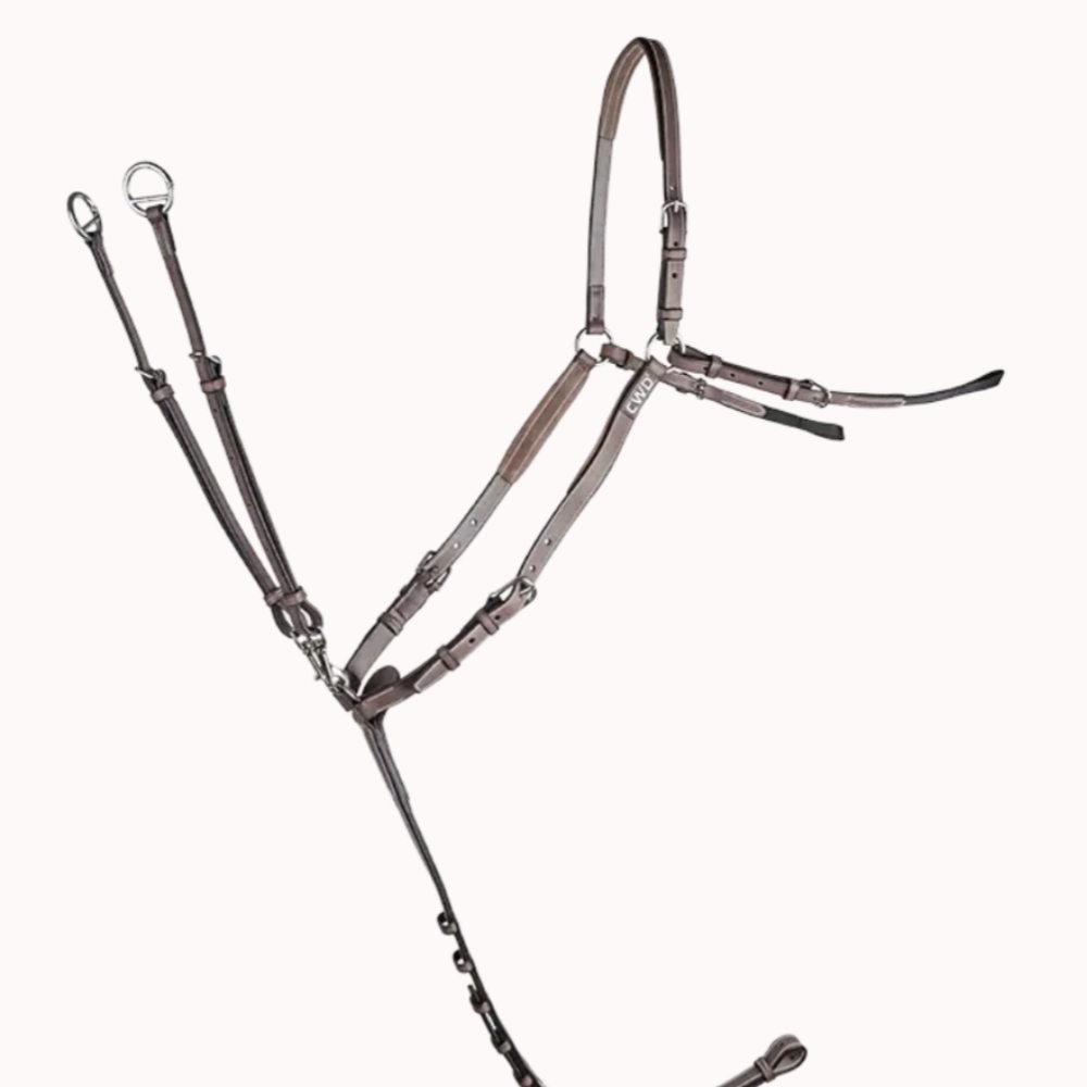 Bridge style breastplate